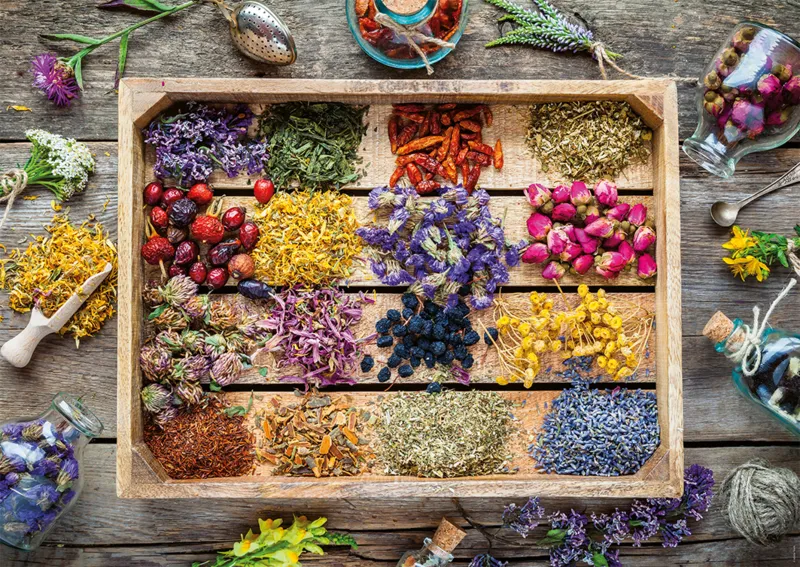 Les Plantes Médicinales