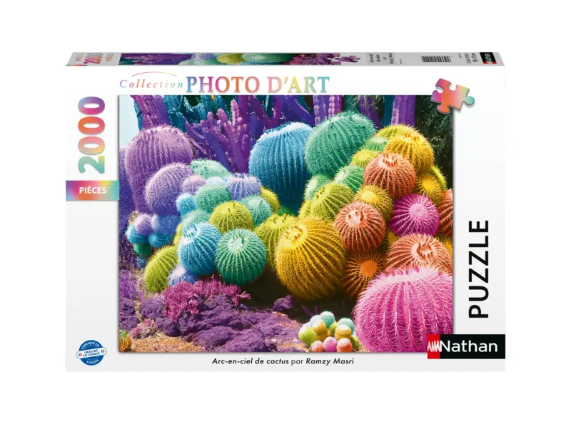 Arc-en-Ciel de Cactus