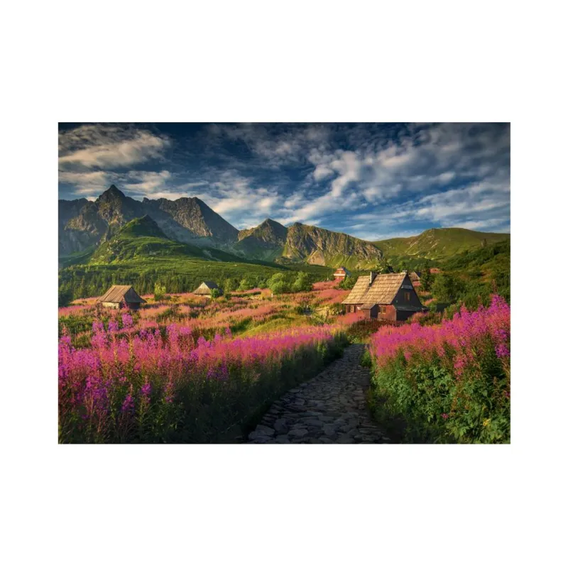 Vallée de la Gasienica