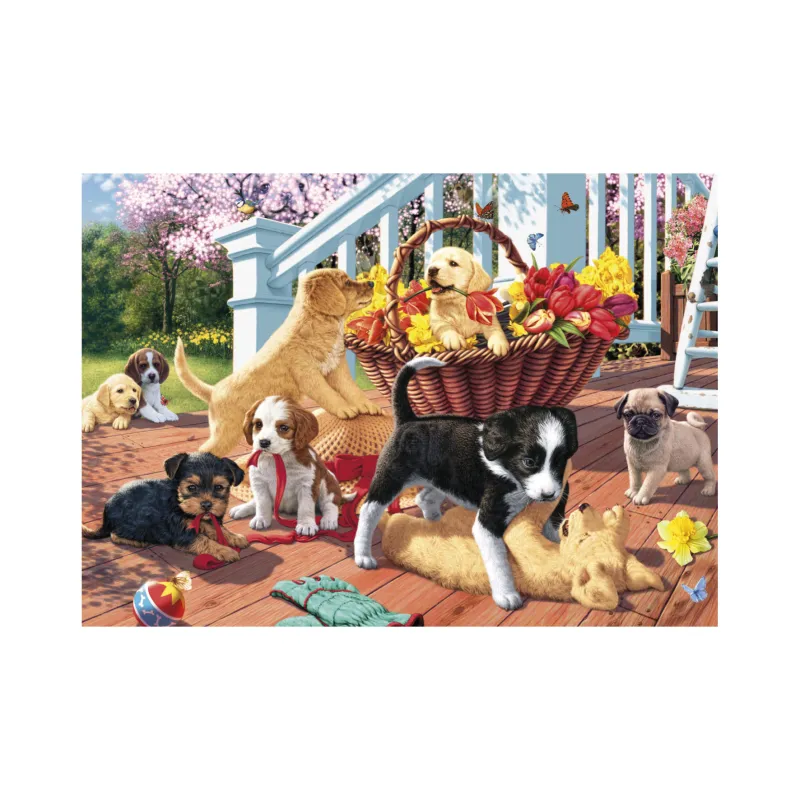 Secret Puzzle - Chiots