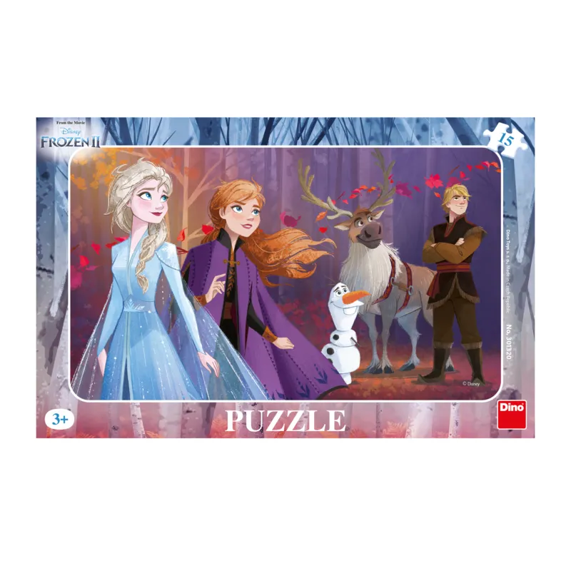 Puzzle Cadre - La Reine des Neiges 2