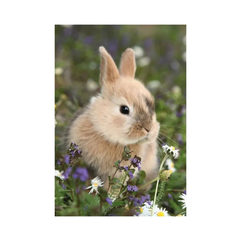 2 Puzzles - Lapin et Cochon d'Inde