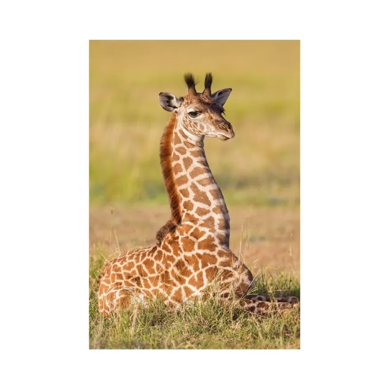 Mini-puzzle Girafe