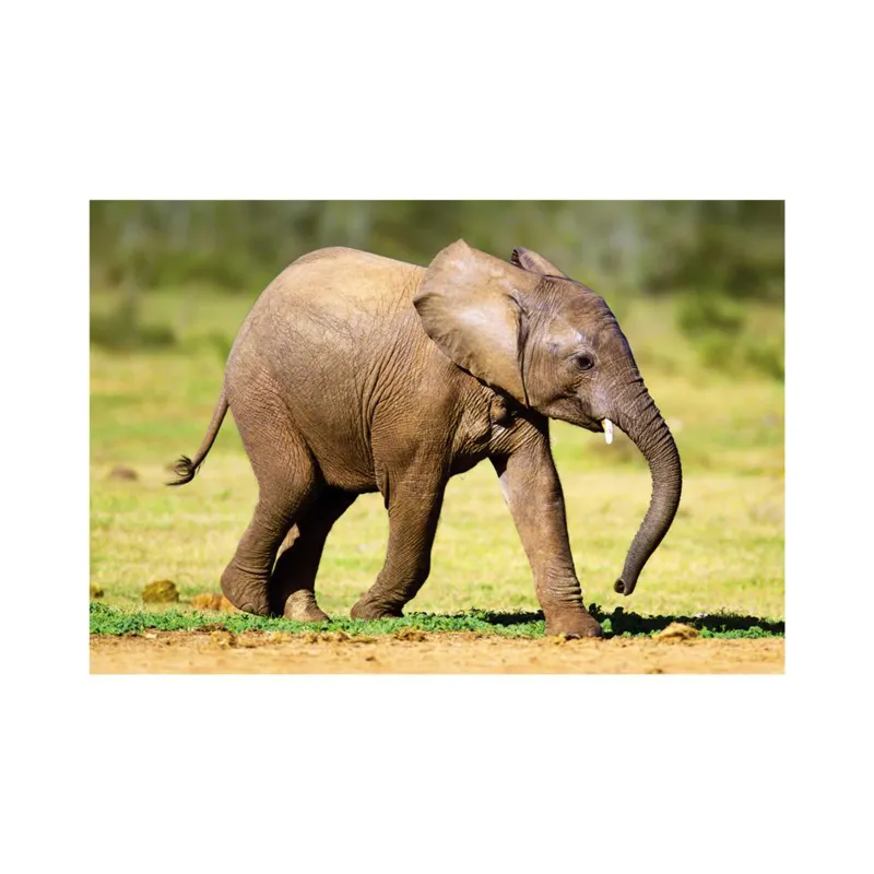 Mini-puzzle Elephant