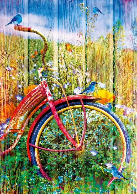 Bluebirds on a Bicycle