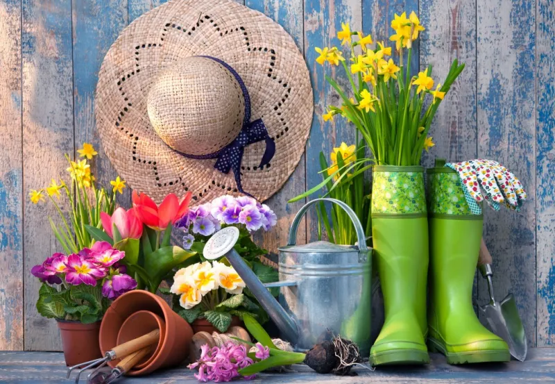 Ready for the Garden