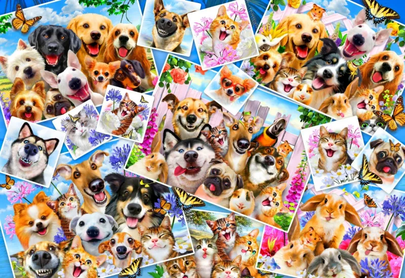 Selfie Pet Collage