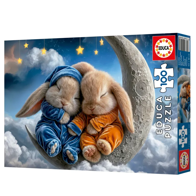 Rêves de Petits Lapins