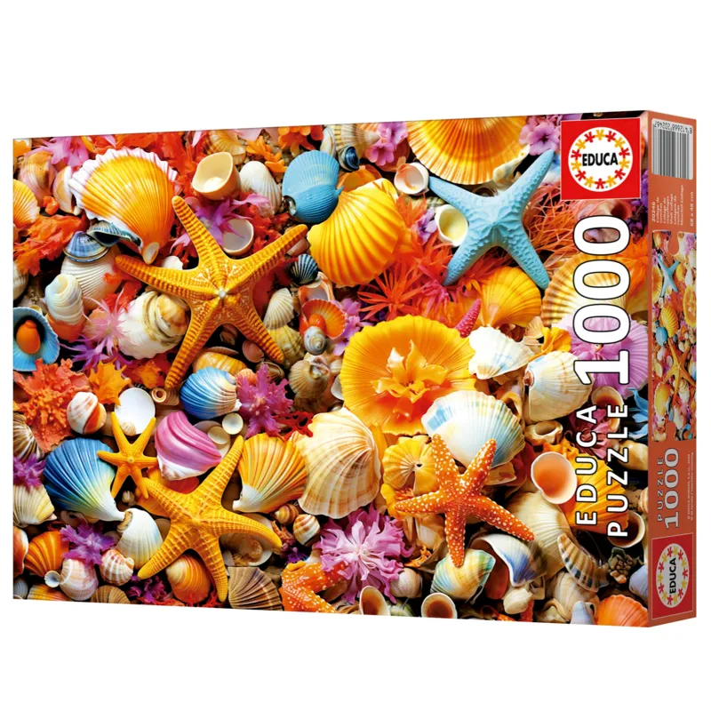 Collage de Coquillages