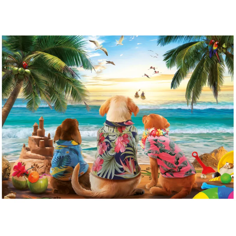 Chiens sur la plage