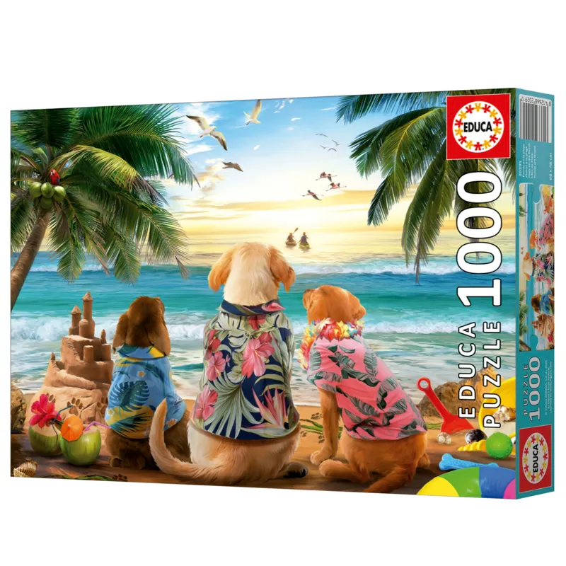 Chiens sur la plage