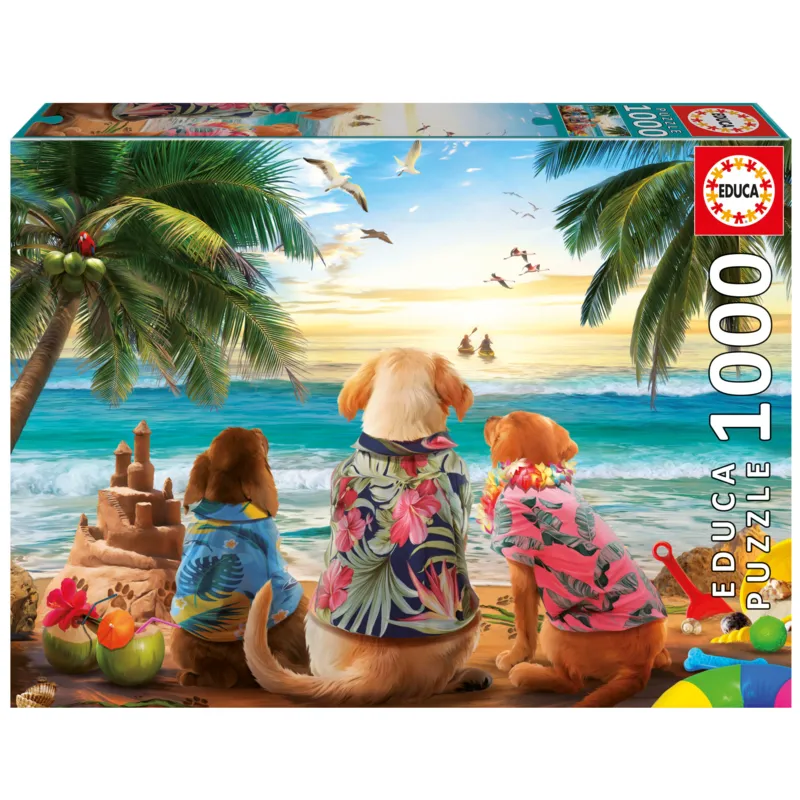 Chiens sur la plage