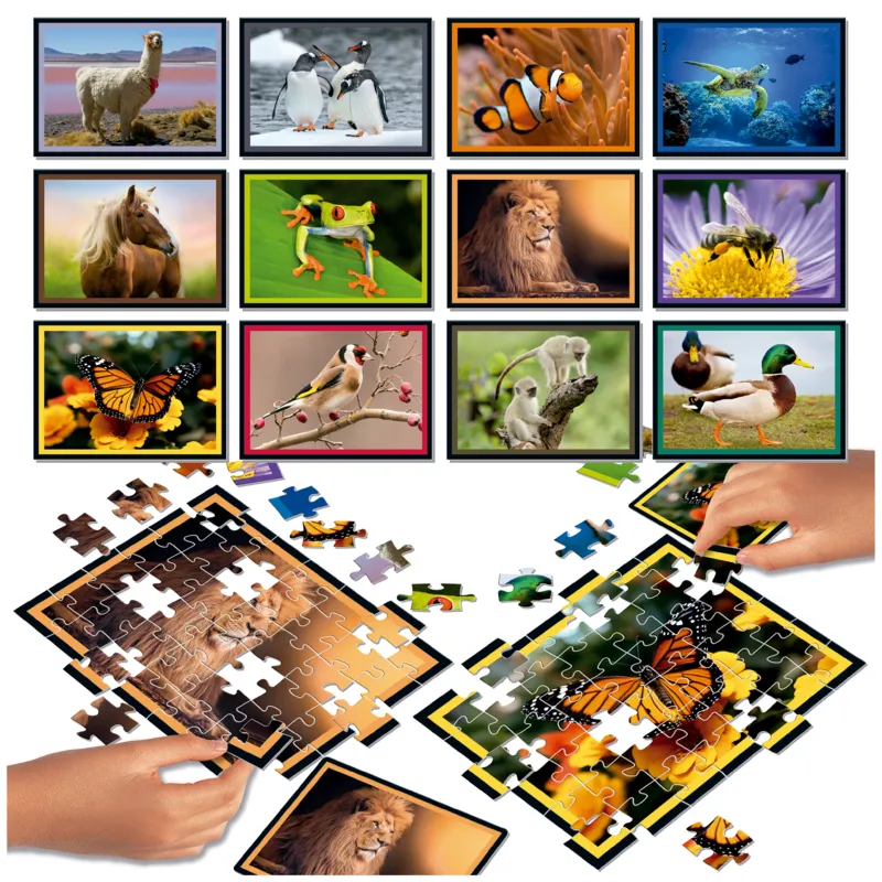 12 Puzzles - Puzzle Battle La Nature