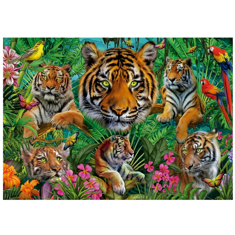 Jungle Des Tigres