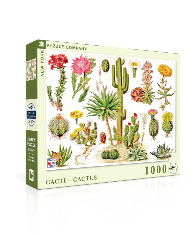 Cacti - Cactus