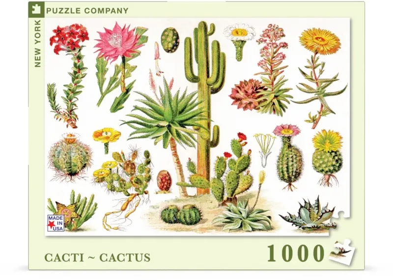 Cacti - Cactus