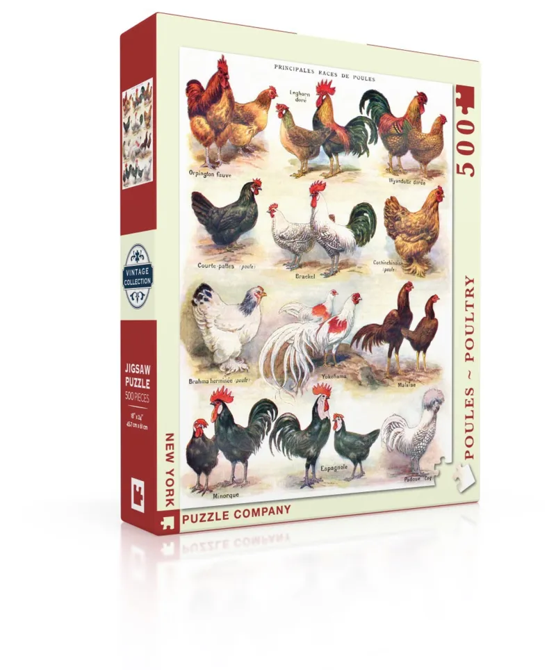 Pièces XXL - Poules - Poultry