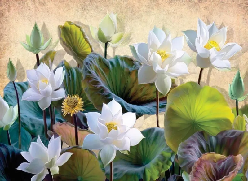 Fleurs de Lotus Blanc