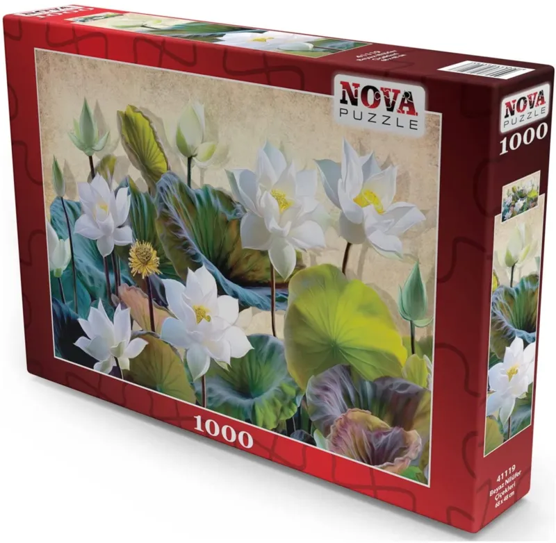 Fleurs de Lotus Blanc