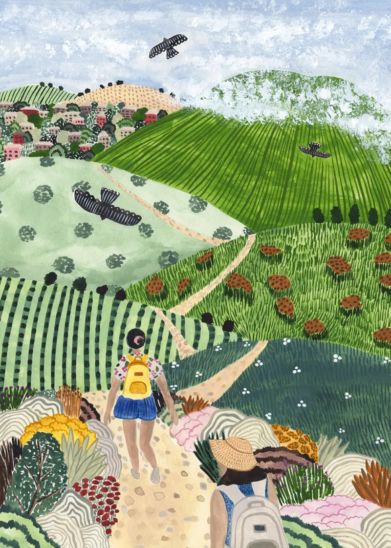 Randonnée dans les Vignes