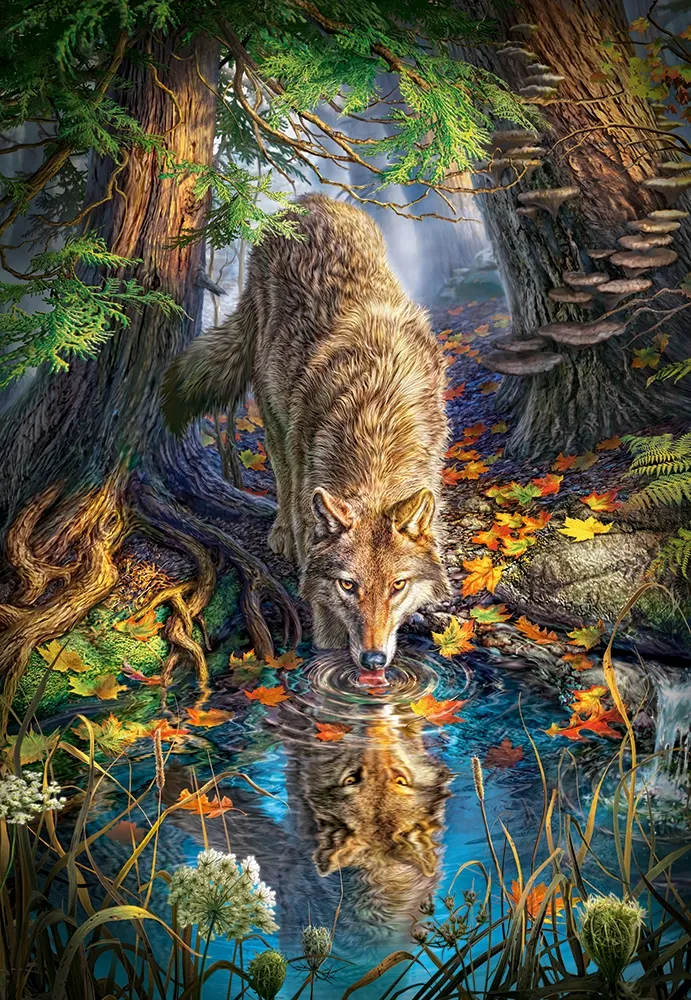 Loup dans la Forêt