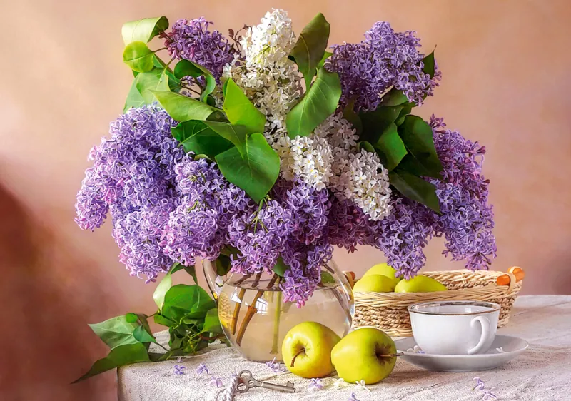 Nature Morte Lilas