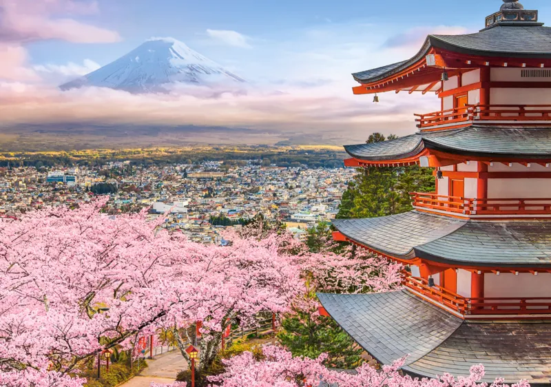 Le Printemps au Japon