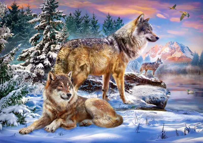 Le Pays Merveilleux des Loups