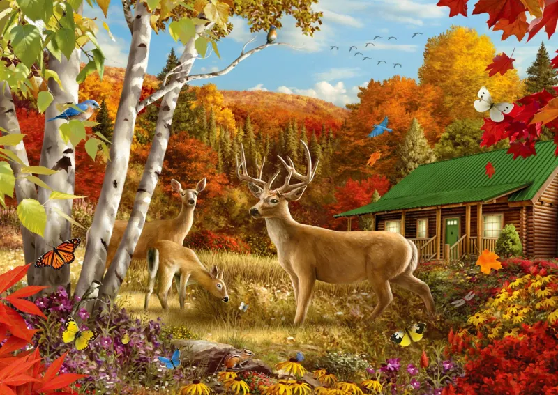 Somewhere in a Field