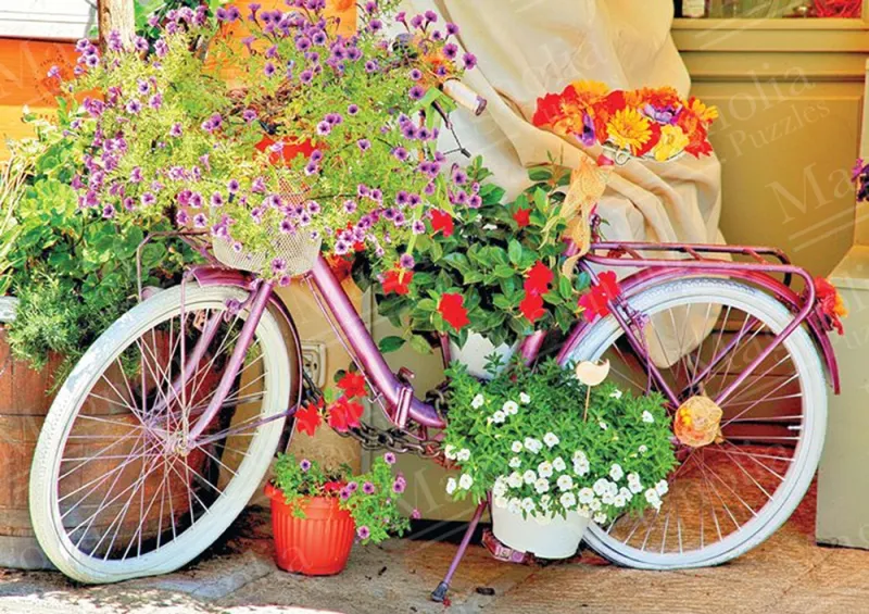 Bicycle with Flowers