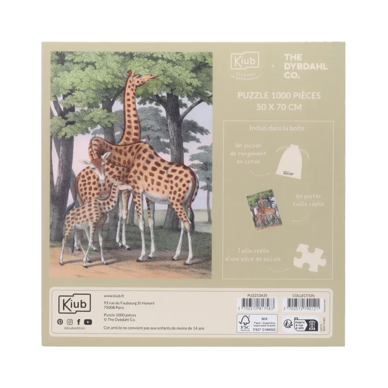 Girafes