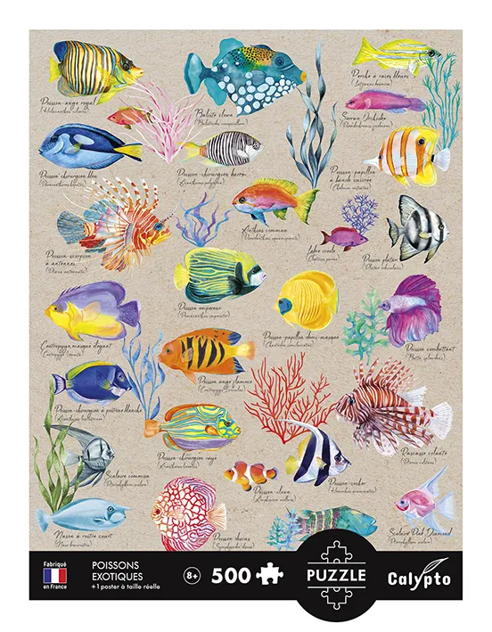 Poissons Exotiques
