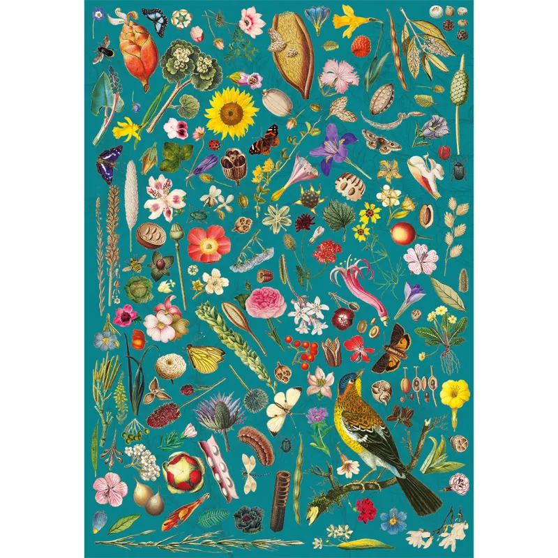 RHS : Fantaisie Florale