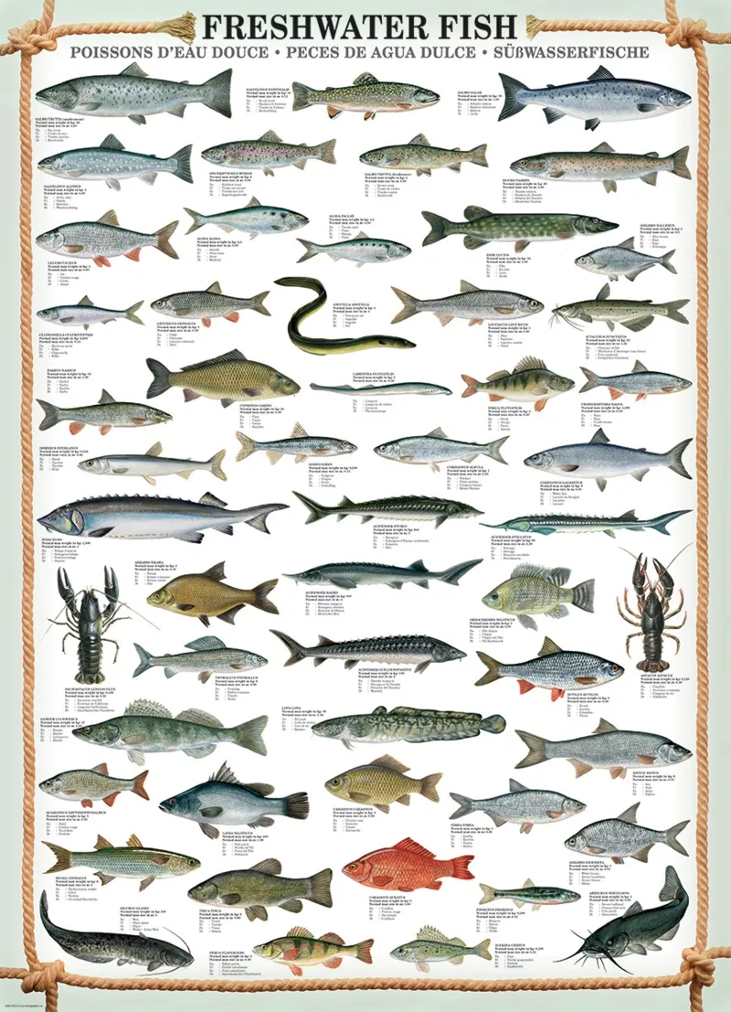 Poissons d'eau douce
