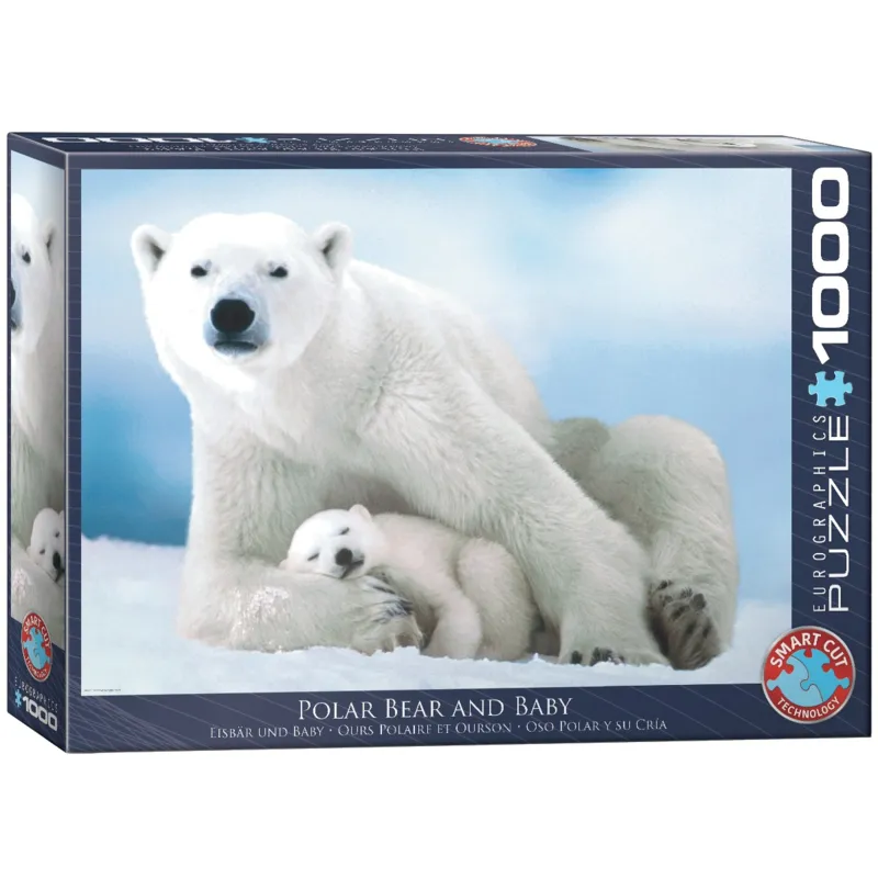 Ours Polaire et son ourson