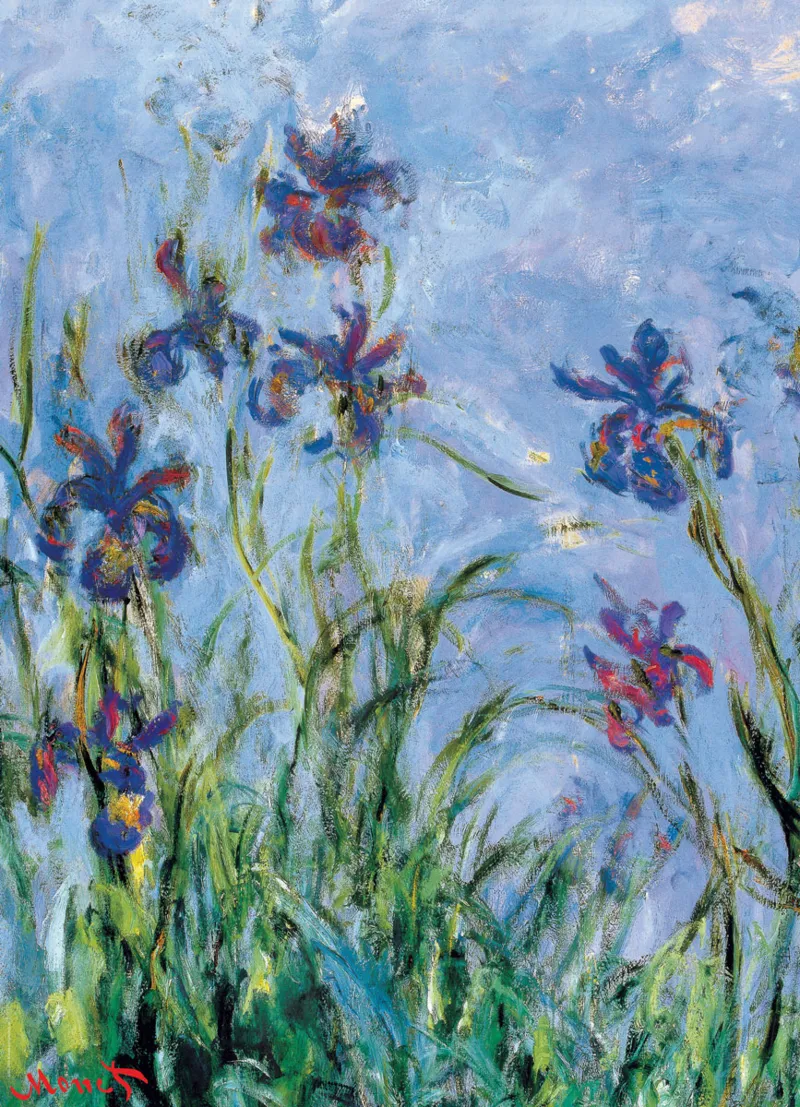 Claude Monet : Iris (détail)