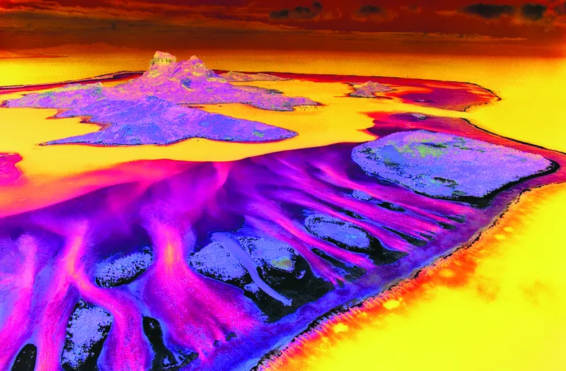 Save the Planet Collection - Récif de Corail