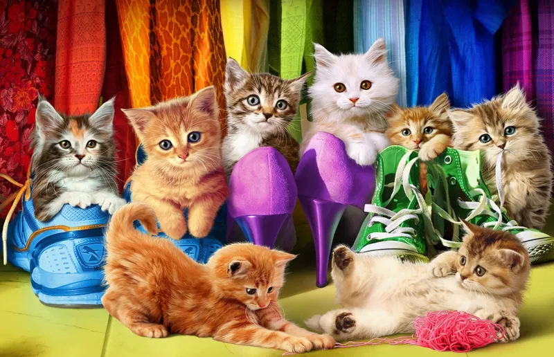 Chatons