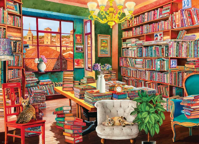 L'ancienne bibliothèque