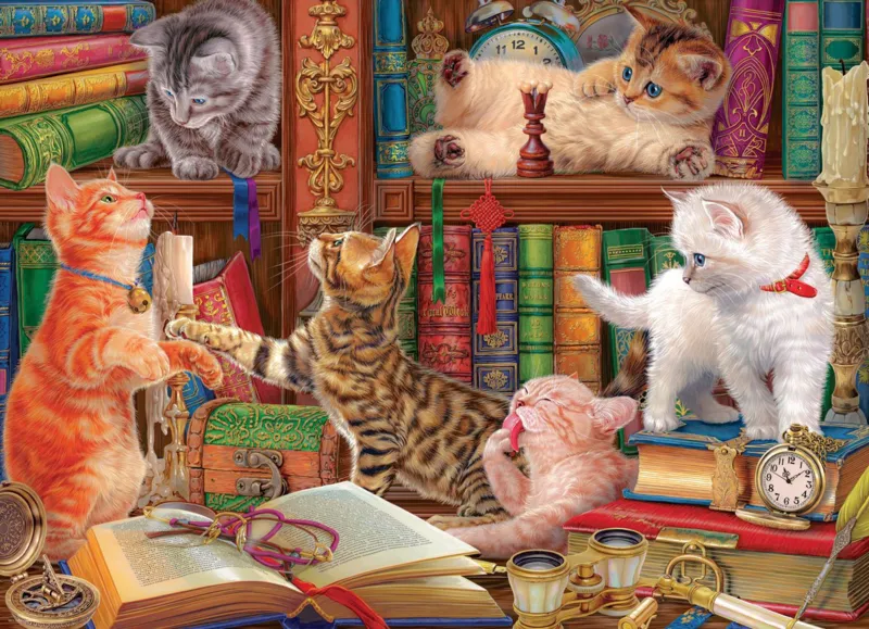 Chatons de Bibliothéque