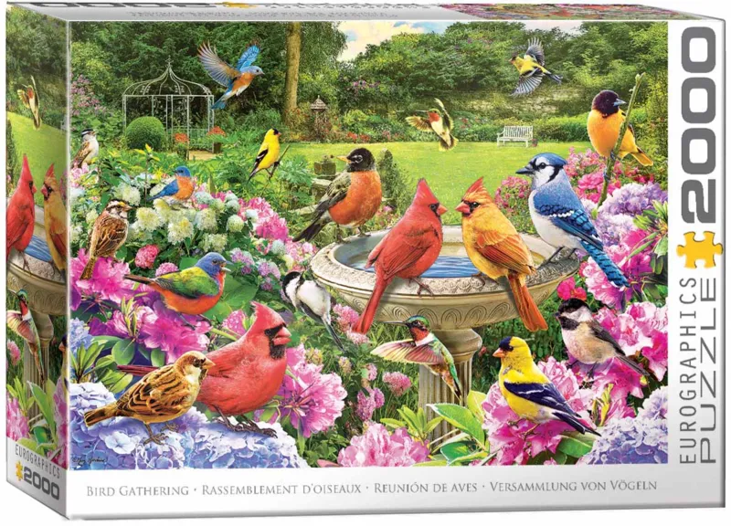 Rassemblement D'Oiseaux