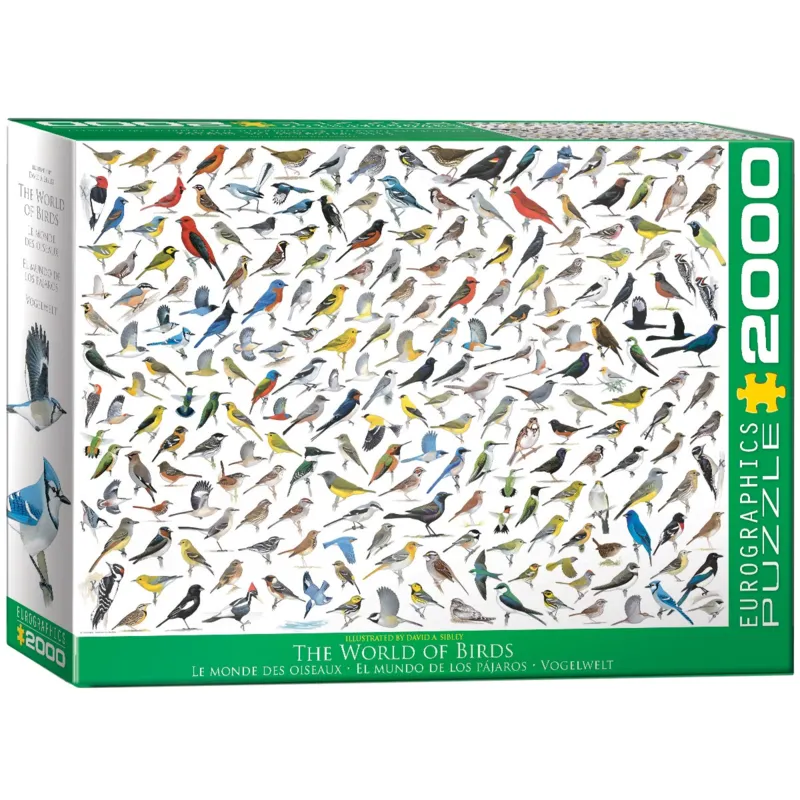 Le Monde des Oiseaux, par David Sibley