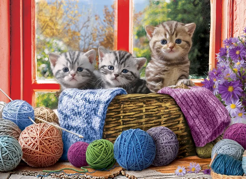 Pièces XXL - Knittin' Kittens