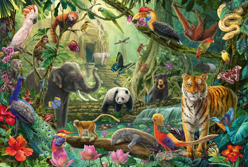 Les Animaux de la Jungle
