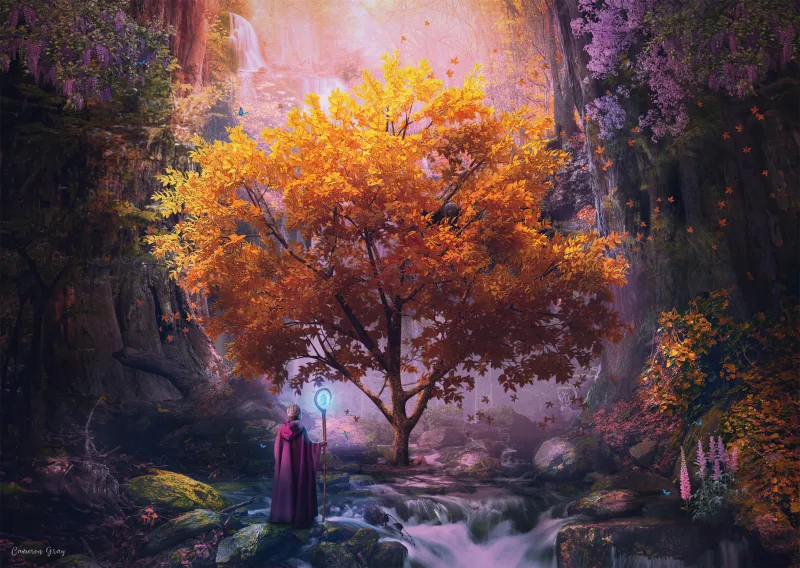 Forêt Enchanteresse