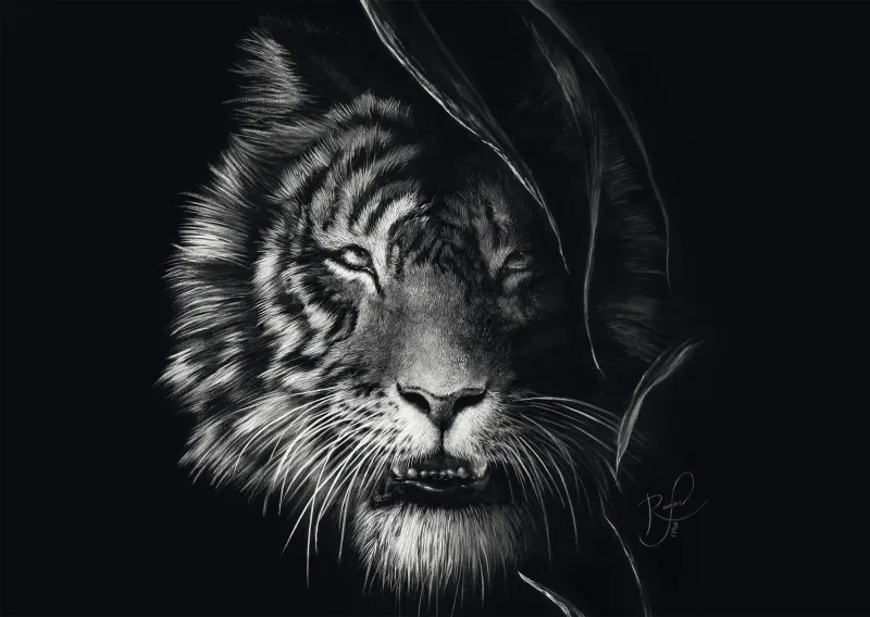 Indompté – Le Tigre : Sous le Signe de la Liberté