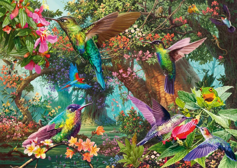Jeu de Couleurs du Colibri