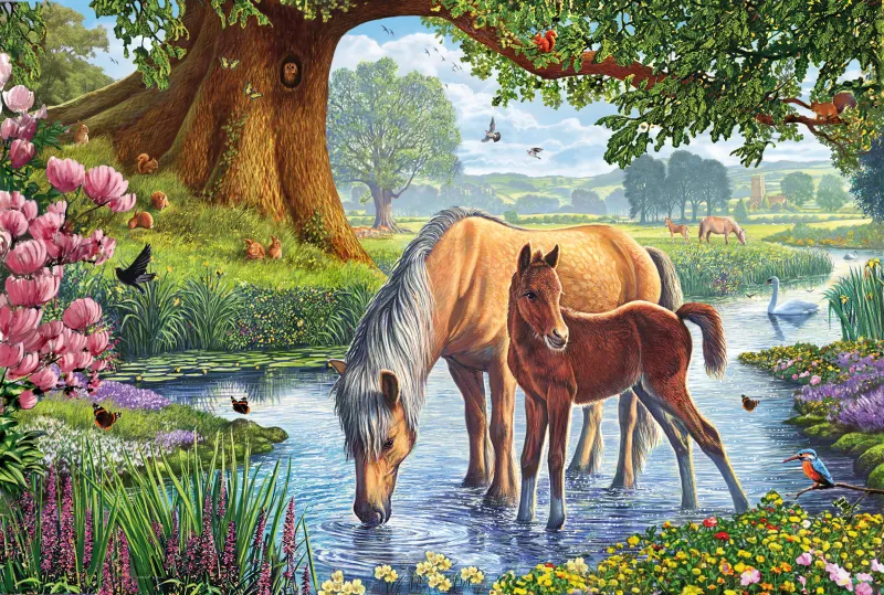 Chevaux dans le Ruisseau