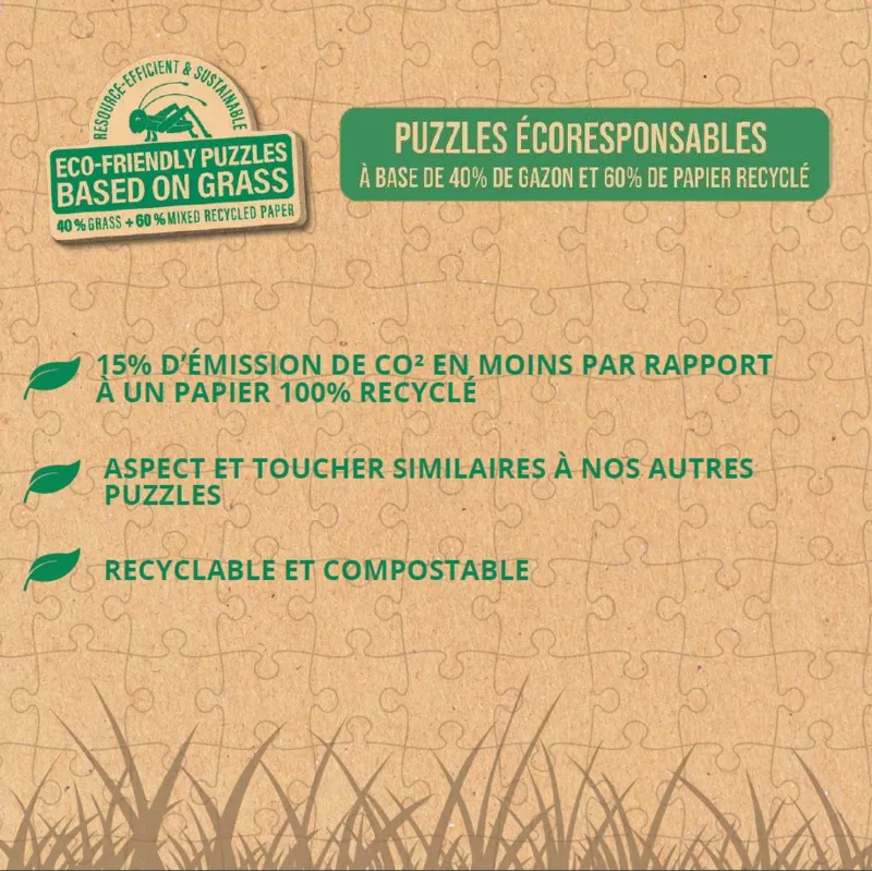 Disney - Le Roi Lion Se Souvient De Qui Vous Êtes - Eco-Friendly