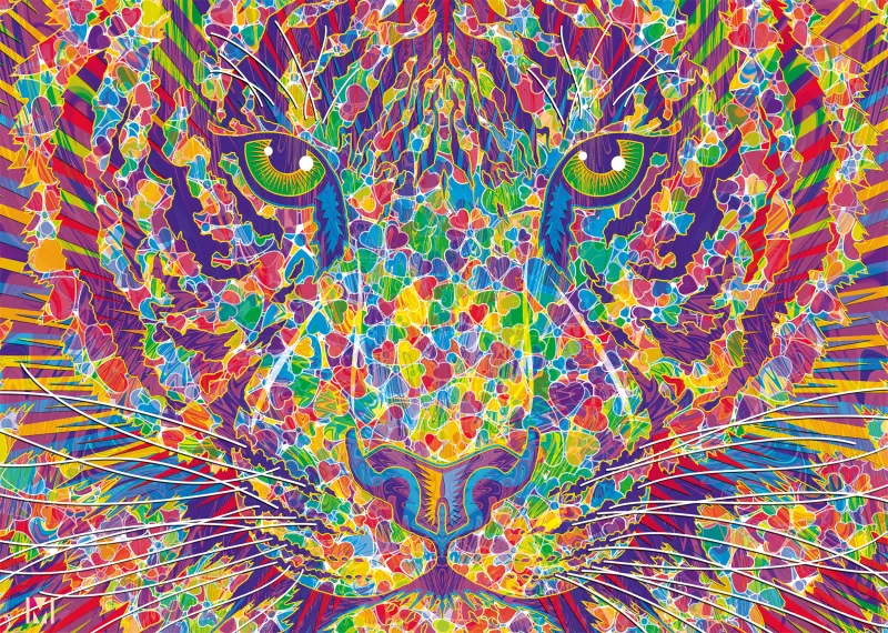 Coeur Sauvage - Tigre